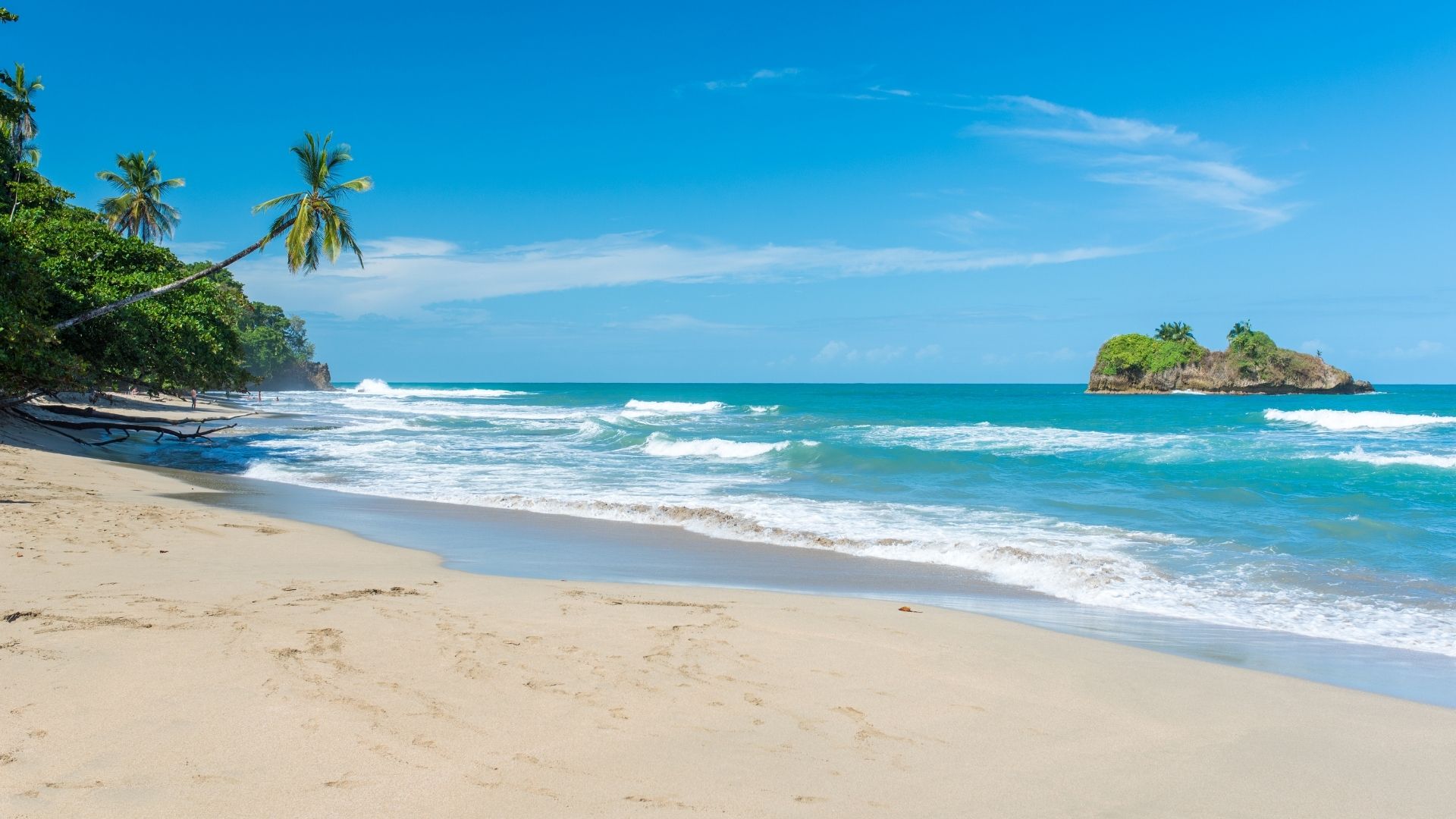 Cahuita National Park (1)