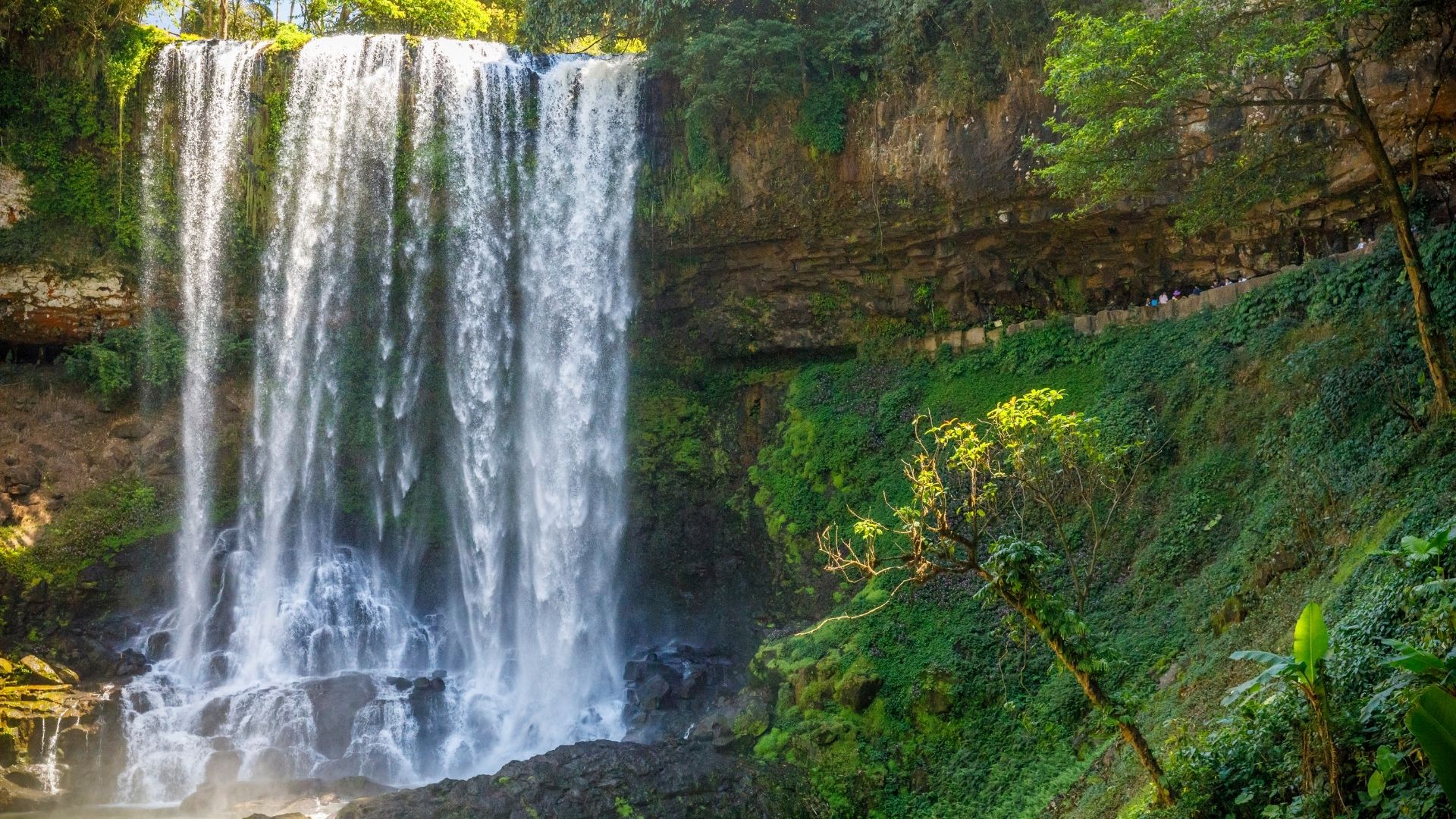 Cahuita National Park (6)
