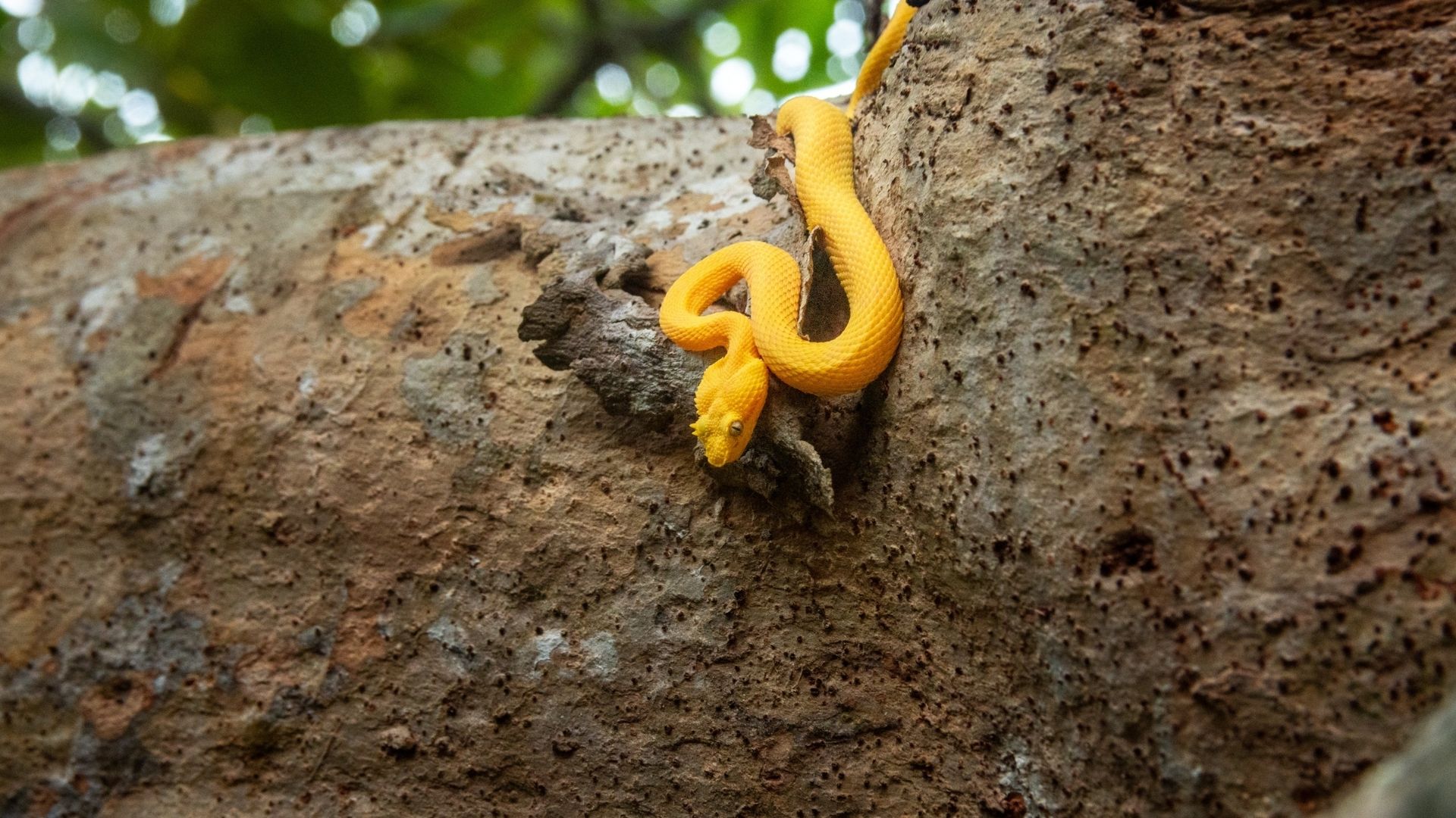 Cahuita National Park